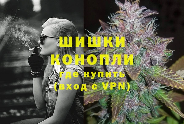 мдпв Богородск
