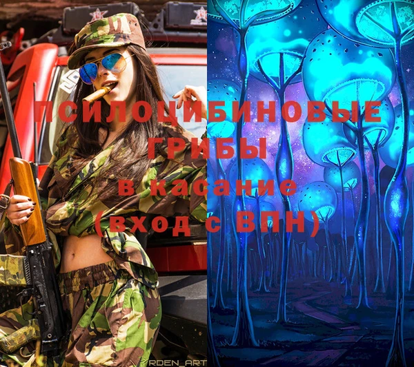 MDMA Premium VHQ Богородицк