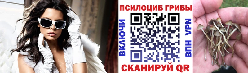 Псилоцибиновые грибы Psilocybe  наркошоп  hydra как войти  Дмитров 